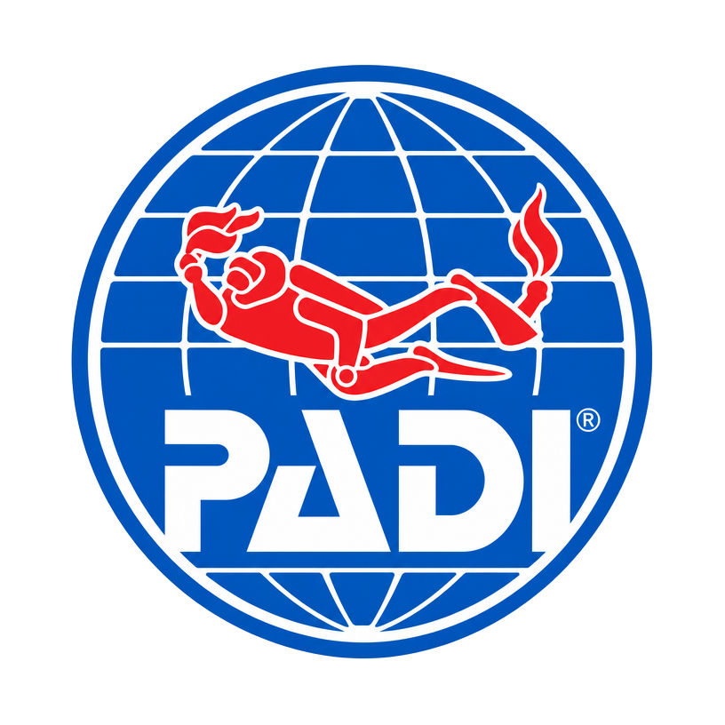 PADI — Professional Association of Diving Instructors