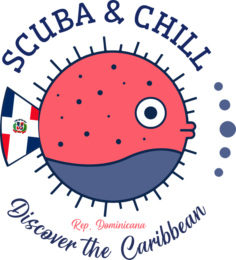 Scuba & Chill — Official Partner